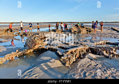 Australia, Western Australia, Broome, exploring WWII Catalina flying boat wrecks in mud flats at Roebuck Bay duringt low tide Stock Photo