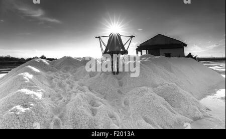 Pour salt salt workers into heaps Stock Photo