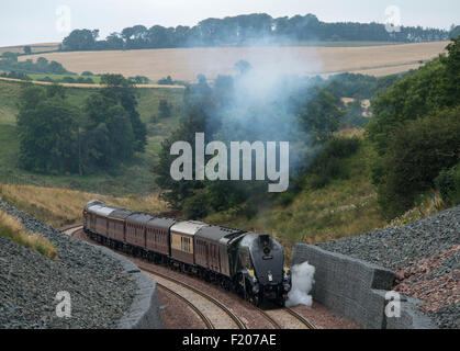 Borthwick Bank, Scotland, UK. 9th September, 2015. The Union of South Africa steam train makes its way up Borthwick Bank as it carries The Queen on the new Borders Railway Line. Queen Elizabeth II becomes the longest reigning monarch today and officially opens the line. Credit:  Andrew O'Brien/Alamy Live News Stock Photo