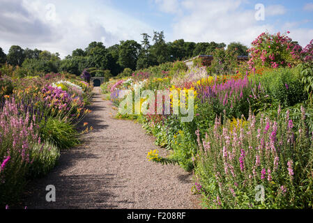 Late Summer herbaceous borders in Floors Castle walled gardens Kelso, Scotland Stock Photo