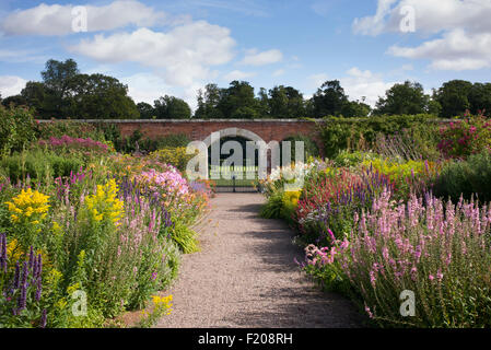 Late Summer herbaceous borders in Floors Castle walled gardens Kelso, Scotland Stock Photo