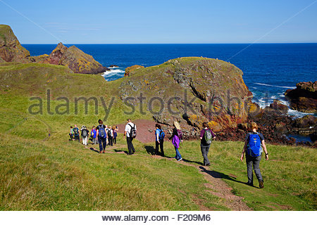 Walkers at St Abb's Head Nature reserve and coastal walk, Berwickshire Scotland Stock Photo