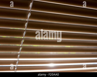 The Venetian blinds background and texture. Stock Photo