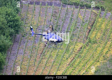 Helicopter spraying vineyards on slopes of Mosel Valley Germany Stock Photo