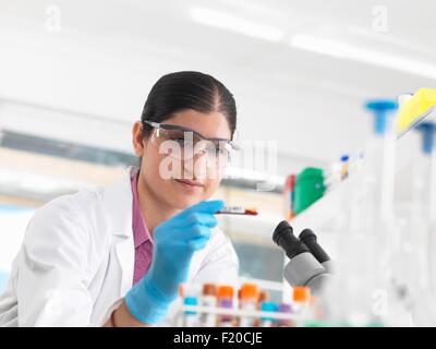 Young woman scientist viewing blood tube during clinical testing of medical samples in a laboratory Stock Photo