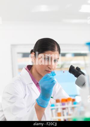 Young woman scientist viewing blood slide during clinical testing of medical samples in a laboratory Stock Photo
