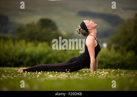 Mature woman practicing yoga upward dog in field Stock Photo