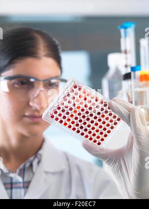 Female scientist examining micro plate blood samples in laboratory