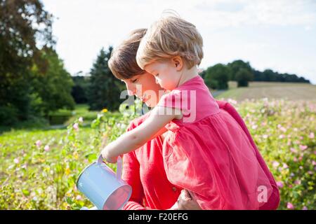 Mid adult mother and toddler daughter watering flowers in flower field Stock Photo