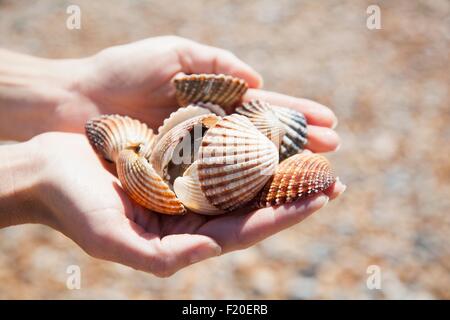 Close up of womans cupped hands holding collection of seashells Stock Photo