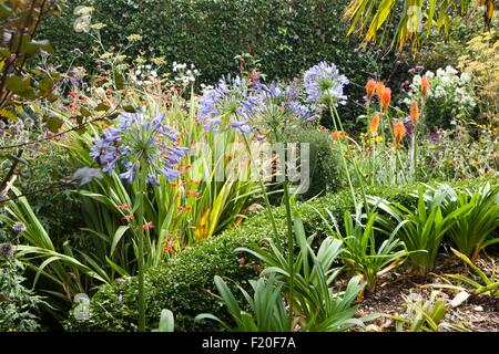 Poppy Cottage Garden on Roseland Peninsula in Cornwall Stock Photo