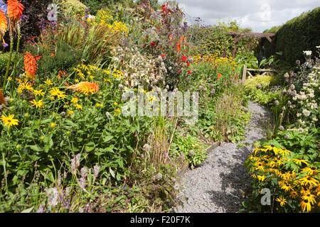 Poppy Cottage Garden on Roseland Peninsula in Cornwall Stock Photo