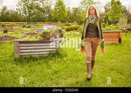Mature woman outdoors, gardening, holding two bunches of carrots Stock Photo