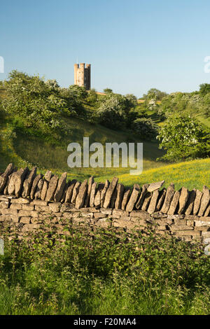 Broadway Tower amidst spring flowering Hawthorn bushes and Buttercups, Broadway, Cotswolds, Worcestershire, England, United Kingdom, Europe Stock Photo