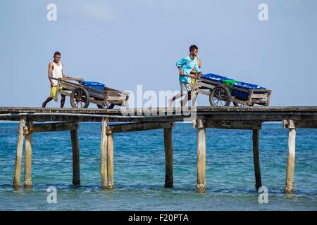 Indonesia, Maluku province, East Seram, Gorom island, men carrying fresh fishes on a jetty Stock Photo