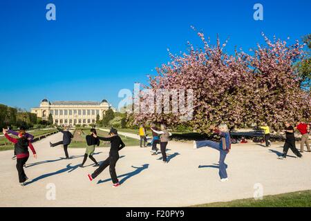 France, Paris, Shi-Tai in front of a Prunus in bloom, Jardin des Plantes in spring Stock Photo