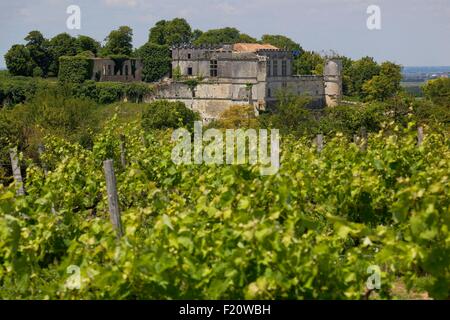 France, Charente, Bouteville, Castle Bouteville, rebuilt between 1594 and 1624 by Bernard de Beon du Masses and Louise de Luxembourg Stock Photo