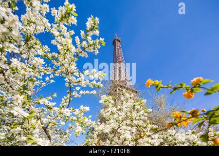 France, Paris, the Champ de Mars World Heritage of UNESCO, the Eiffel Tower Stock Photo