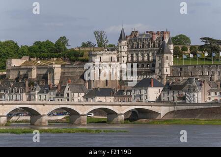 France, Indre et Loire, Touraine Val de Loire, Loire river listed as World Heritage by UNESCO in front of Amboise castle Stock Photo