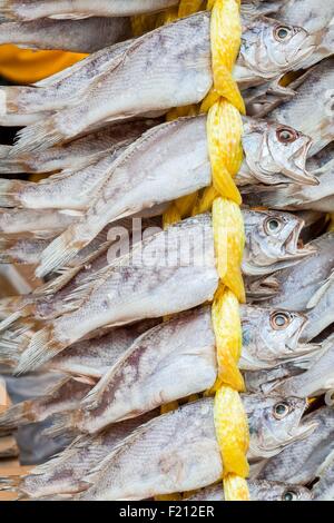 South Korea, Seoul, Yangnyeong Market, market stall with dried fish Stock Photo