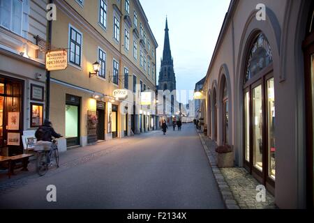Austria, Upper Austria, Linz, Bischofstrasse and Cathedral Mariendome or New Dome in background Stock Photo