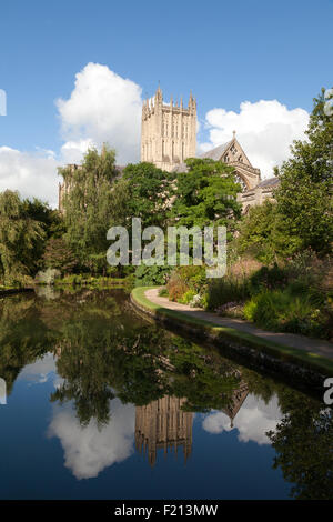 Wells cathedral view seen from the Well Pools in the Bishops Palace gardens, Wells, Somerset England UK Stock Photo