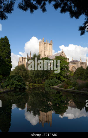 Wells Cathedral and the Well Pools seen from the gardens of the Bishops Palace, Wells, Somerset, UK Stock Photo