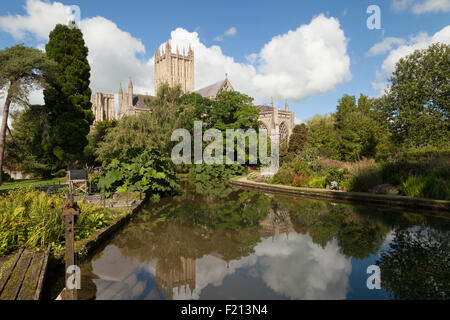 Wells Cathedral, Somerset England UK, a medieval 12th century building seen from the Bishop's Palace gardens, Wells UK Stock Photo