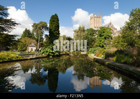 Wells cathedral and the Well pools from the garden of the Bishops Palace, Wells Somerset,  England UK Stock Photo