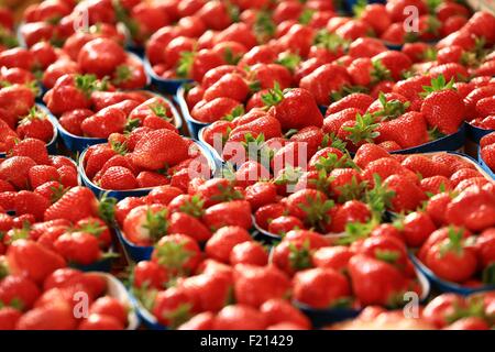 France, Vaucluse, Orange, Republic Square, Thursday market, Carpentras strawberries Stock Photo