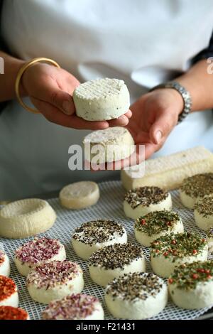France, Vaucluse, Modene, Thierry and Marie-Helene Enrietto, goat cheese producers Stock Photo