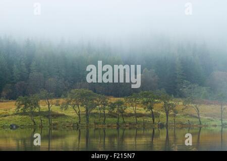 United Kingdom, Scotland, Argyll and Bute, Loch Awe, Reflections near Kilchurn castle Stock Photo