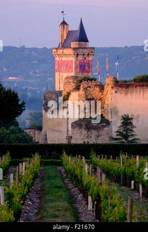 France, Indre et Loire, Chinon, listed as Word Heritage by UNESCO, castle of Chinon, the Clock Tower Stock Photo