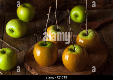 Homemade Green Caramel Apples on a Stick for Halloween Stock Photo