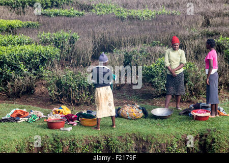 Washing clothes at river in Kisii, Kenya Stock Photo
