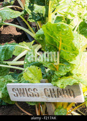 Battery Urban Farm Sign, Battery Park, NYC Stock Photo