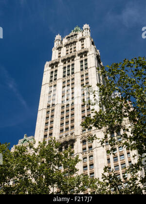 Woolworth Building, NYC, USA Stock Photo
