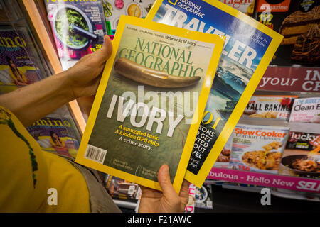 A reader with copies of National Geographic and Nat Geo Traveler at a newsstand in New York on Wednesday, September 9, 2015. In a partnership with 21st Century Fox National Geographic magazine will change to for-profit status with Fox paying $725 million for a 73 percent stake to the non-profit National Geographic Society. The sale includes the cable channel and the society's other media assets. (© Richard B. Levine) Stock Photo