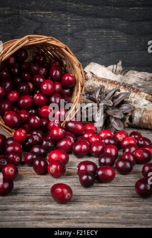 Fresh ripe cranberries spilling out of basket on rustic dark wooden background. Stock Photo