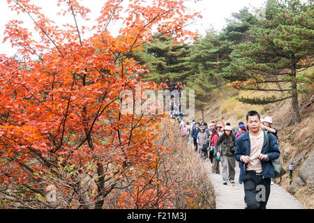 Hikers walking along the Brightness Peak trail on an Autumn day, Yellow Mountain, Huang Shan, UNESCO site, Anhui province, China Stock Photo