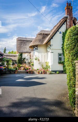 Pretty thatched cottage in Warwickshire Stock Photo