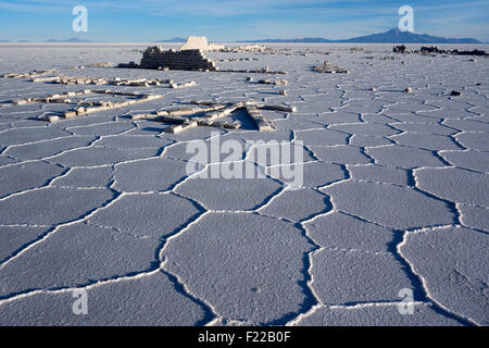 Salt hexagons. Salar de Uyuni. Bolivia Stock Photo