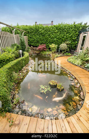 big pond with koi carps and plants in backyard Stock Photo