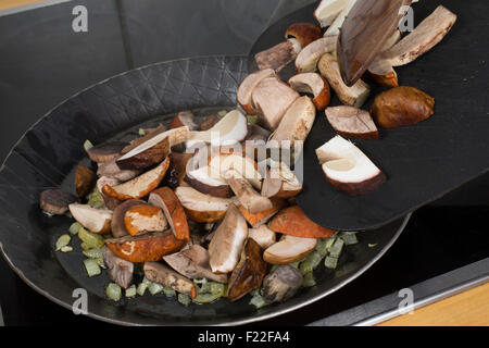 Mushrooms, mushroom dish, pan, cooking, kitchen, Pilzpfanne, Pilze braten, Pilzgericht, Pilze, Speisepilze Stock Photo