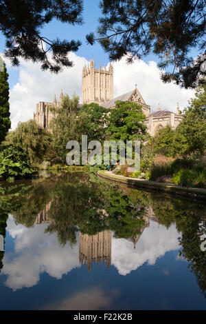 Wells cathedral view seen from the Well Pools in the Bishops Palace gardens, Wells, Somerset England UK Stock Photo