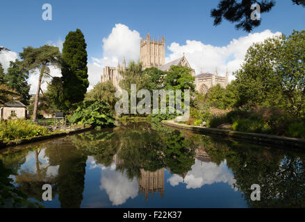 A view of Wells Cathedral and Well Pools from the garden of the Bishops Palace, Wells, Somerset England UK Stock Photo
