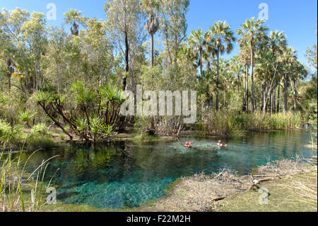 Bitter Springs, hot thermal springs in the Outback of the Elsey National Park, Northern Territory, Australia