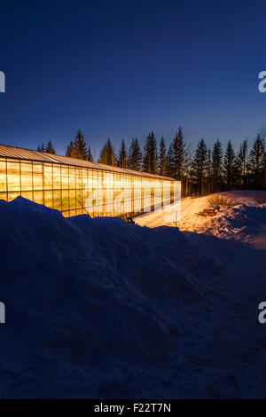 Geothermal heated greenhouse in the wintertime, Iceland Stock Photo