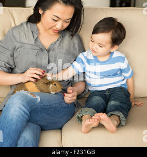 Smiling woman sitting on a sofa, a guinea pig sitting on her lap, her young son stroking the animal. Stock Photo