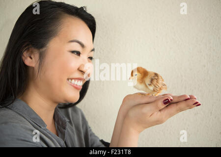 Smiling woman holding a tiny chick in her hands. Stock Photo